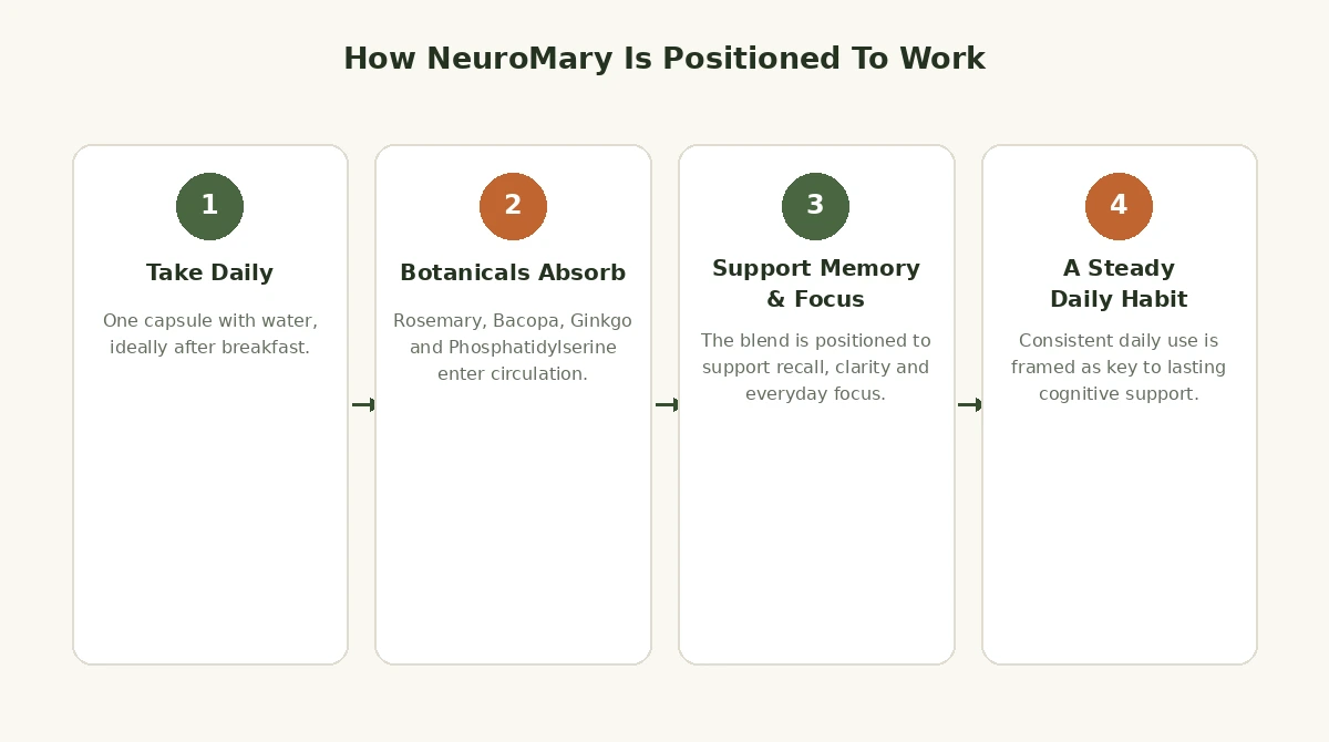 How NeuroMary works: take daily, botanicals absorb, support memory and focus, steady daily habit